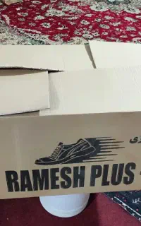 کارتن و جعبه کفش نو