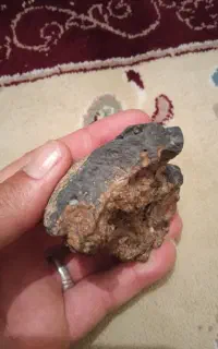 بسیار شبیه شهاب سنگ آیرونی استونی
