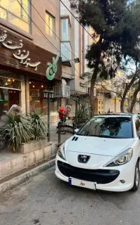 ۲۰۷ پانومرا ۱۴۰۱