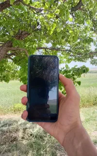 موبایل
