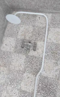 شیر دوقلو حمام