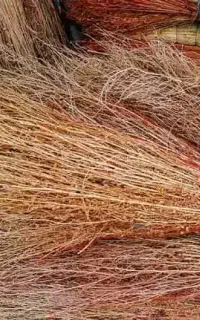 فروشگاه جارو محلی