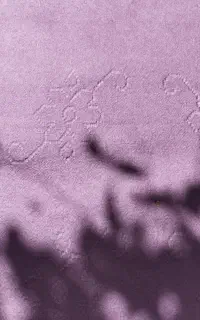 یک عدد موکت 12متری