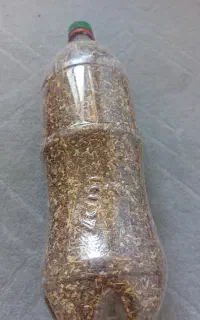 اسپند