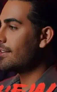 بلیط کنسرت مجید رضوی