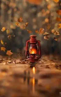 ۰۹۱۸۱۷۵۰۹۵۷    ۰۹۱۸۱۷۵۰۷۶۴