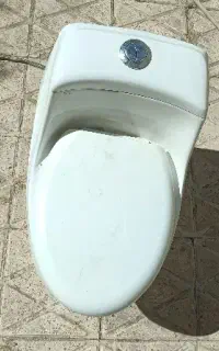 فرنگی تمیز و مرتب/ آماده استفاده