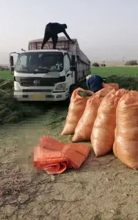 یونجه هرده