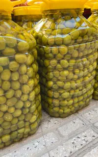 زیتون شمال