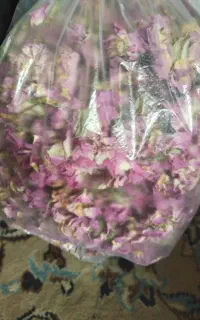 گل محمدی خوشک