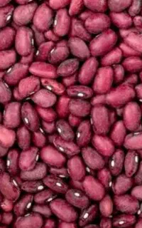 لوبیا قرمز