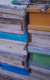 جعبه خالی