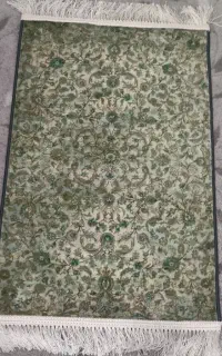 پادری نو