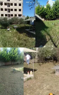 علفزنی و‌ چمنزنی