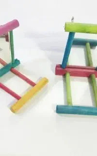 پت شاپ طوطی فندق