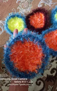 اسکاج خانگی