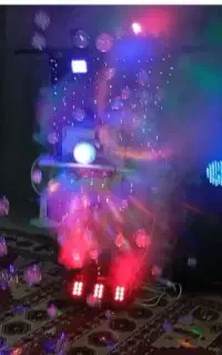 دیجی نیلوفر