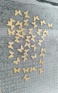پروانه طلایی ۲۰عددی