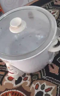 پلوپز بخار پز برقی در حد نو
