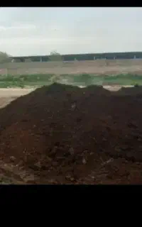 فروش کود حیوانی