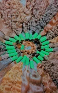 شرکت خرید موی طبیعی