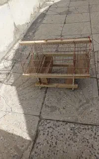 قفس تله پرنده شیک ودستبافت