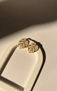 بدلیجات خوش قیمت و شیک