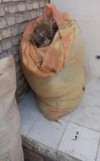 پشم گوسفندی