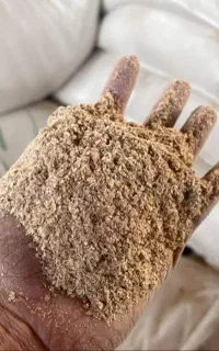 سبوس فسا