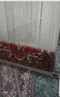 دار قالی