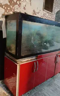 آکواریوم بزرگ ۱۸۰×۶۰