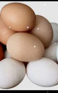 رفع چشم و نظر با تخم مرغ وروسری سرکتاب