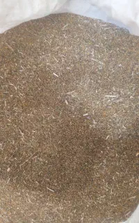 شبدر‌تمیز‌هفت‌چین‌