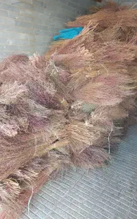 جارومحلی