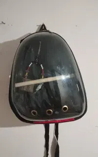 کوله حمل پرنده