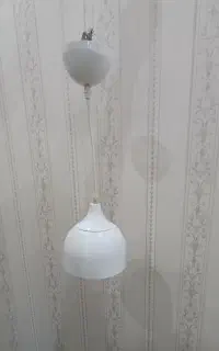 لوستر تک کافه ای