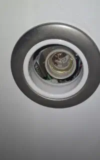 هولدر هالوژن