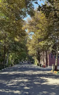 سرایدار