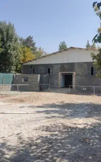 باکس مجانی اسب مادیان