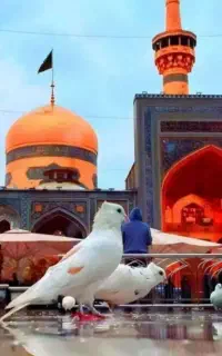 بلیت قطار مشهد