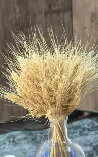 نظافت و تمیز کاری فوری