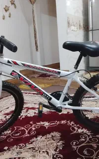 دوچرخه 24 ویوا...