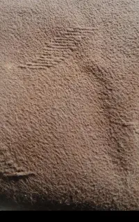 م وکت