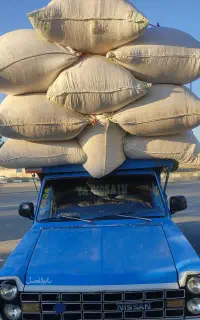 کاه