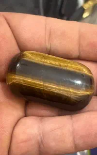 چهارجفت  مهره چشم ببر