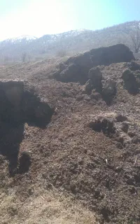 کودحیوانی
