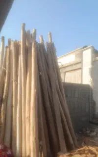 چوب