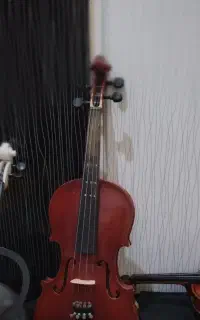 ویولن خوش صدا