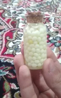 خاویار حلزون