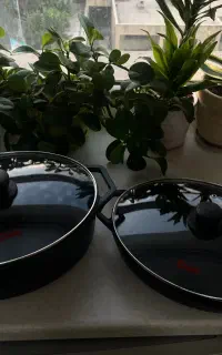 تابه ی مرغ و ماهی برند کاندید